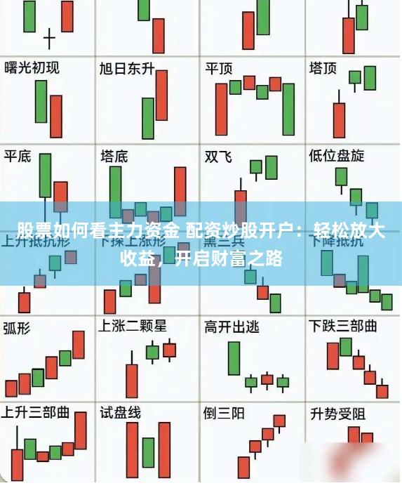 股票如何看主力资金 配资炒股开户：轻松放大收益，开启财富之路