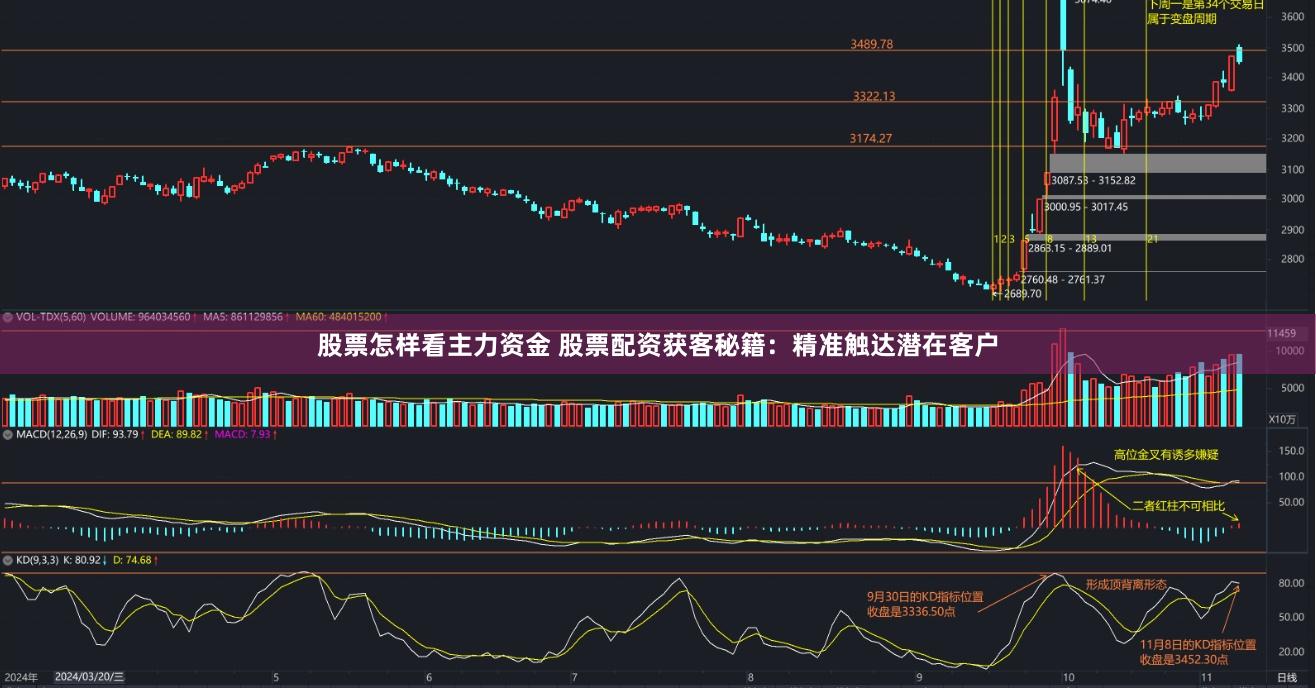 股票怎样看主力资金 股票配资获客秘籍：精准触达潜在客户