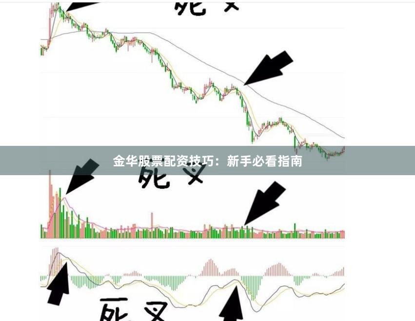 金华股票配资技巧：新手必看指南
